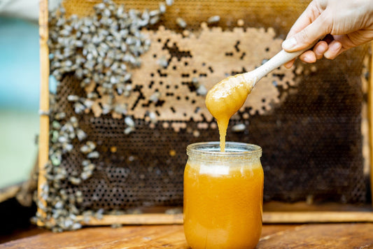 What Is Monofloral Honey: Benefits Of This Natural Wild Honey In Singapore